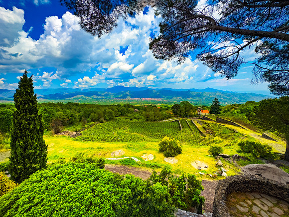 Scenic View from Mt. Etna
