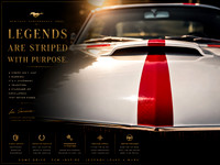 Mustang Heritage – Stripes of Purpose | Limited Edition Fine Art Print