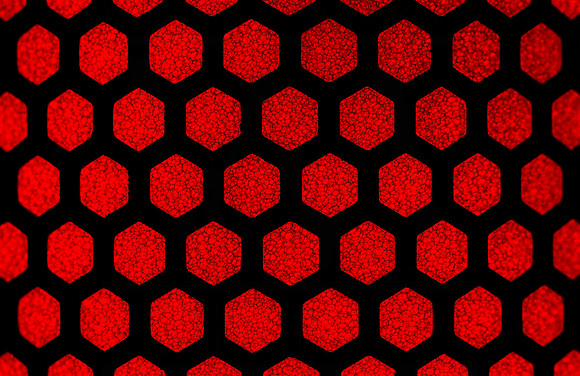 Honeycomb Reds