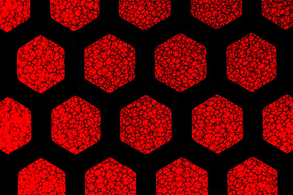 Hexagonal Harmony