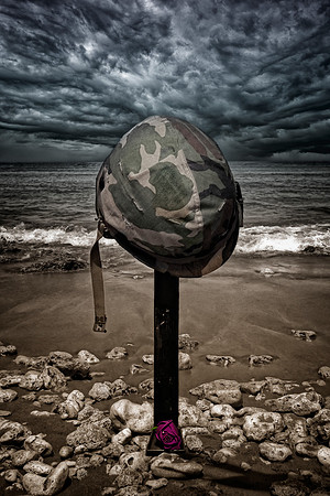 A Tribute to the Fallen