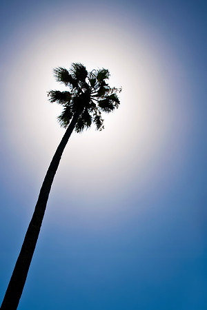 Palm Beach