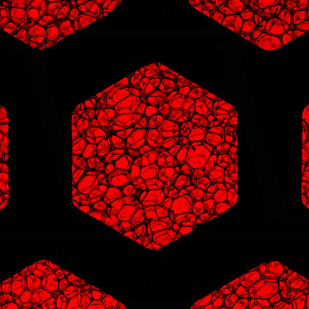 Hexagonal Harmony