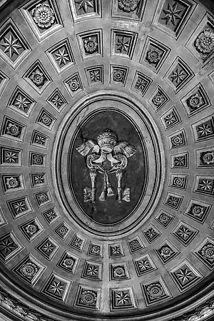 Vatican Artistry: iPhone 6 Monochrome