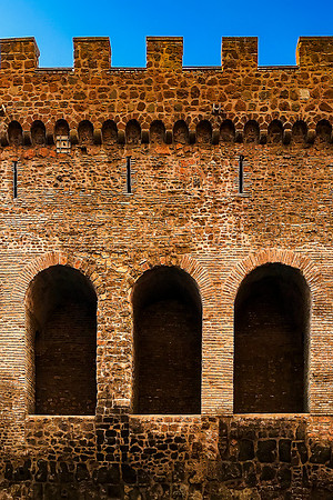 Ancient Guardians: Vatican Walls